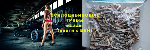a pvp Медногорск